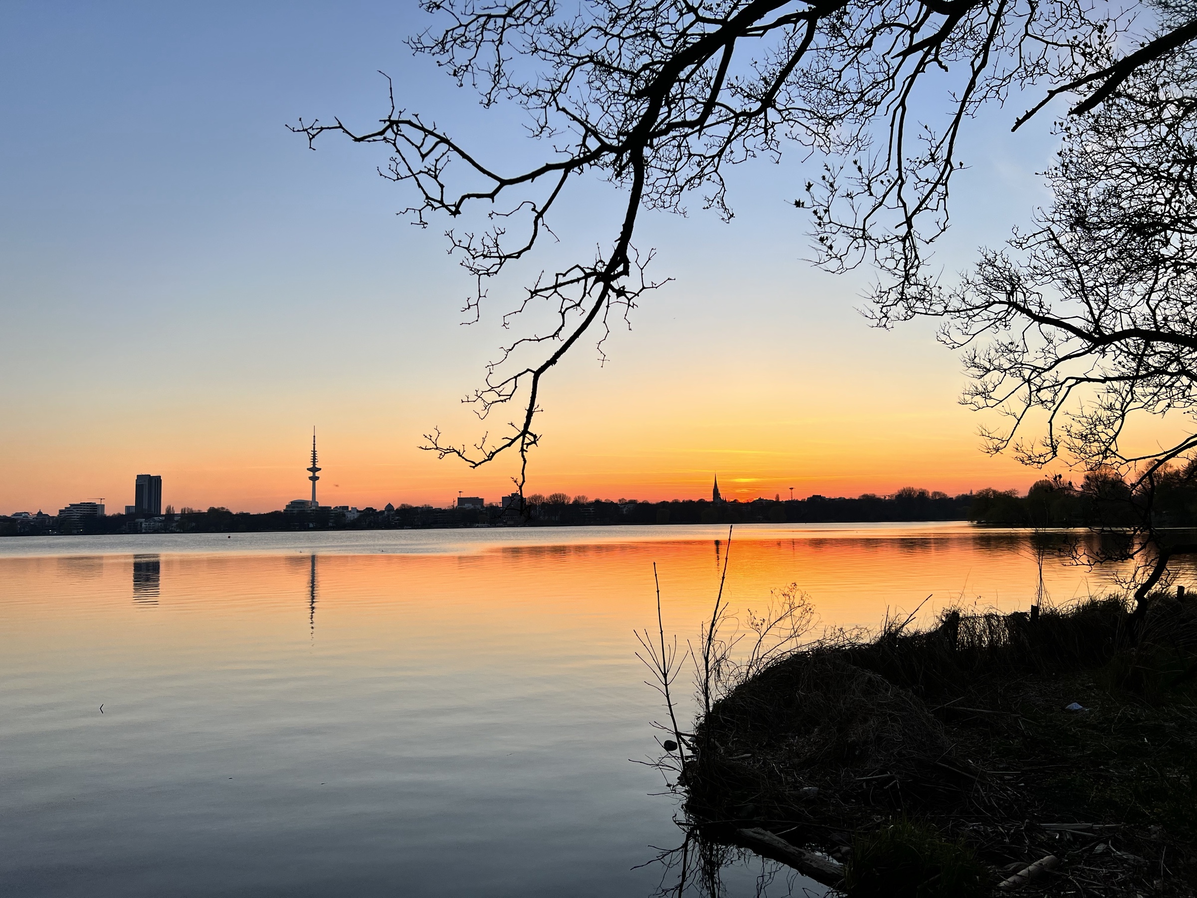 Alster sunset through branches