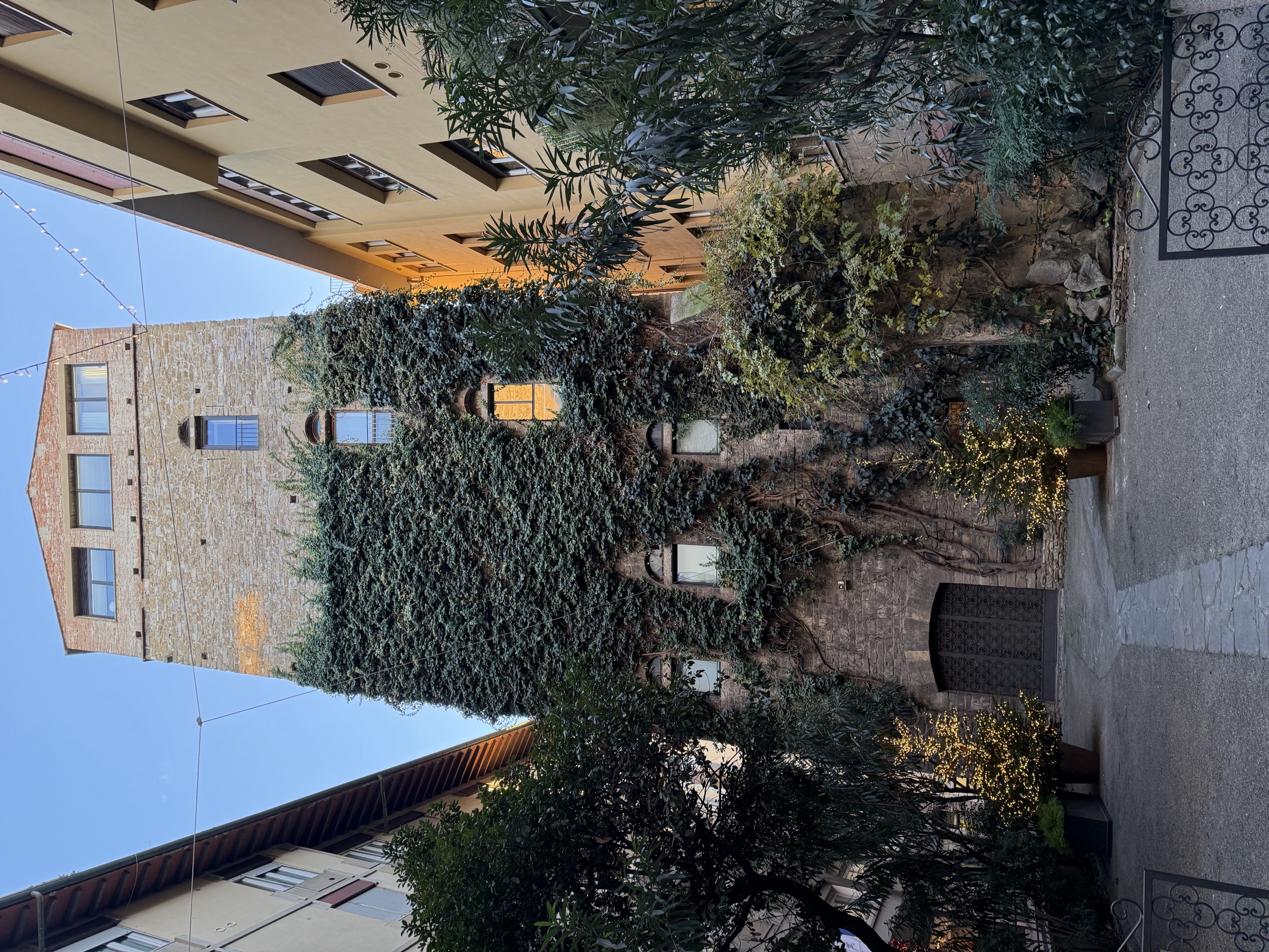 Medieval tower with ivy, Florence