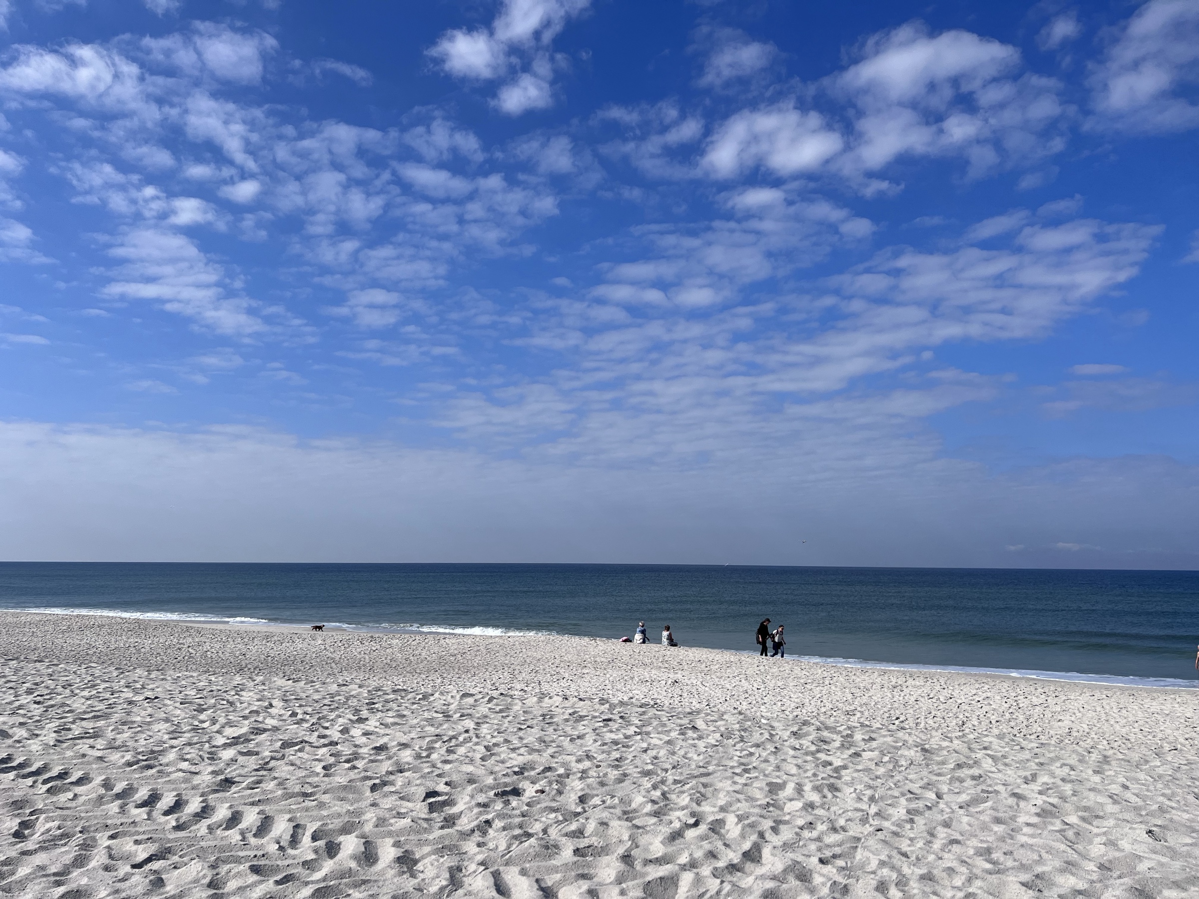 Empty Sylt beach under blue sky