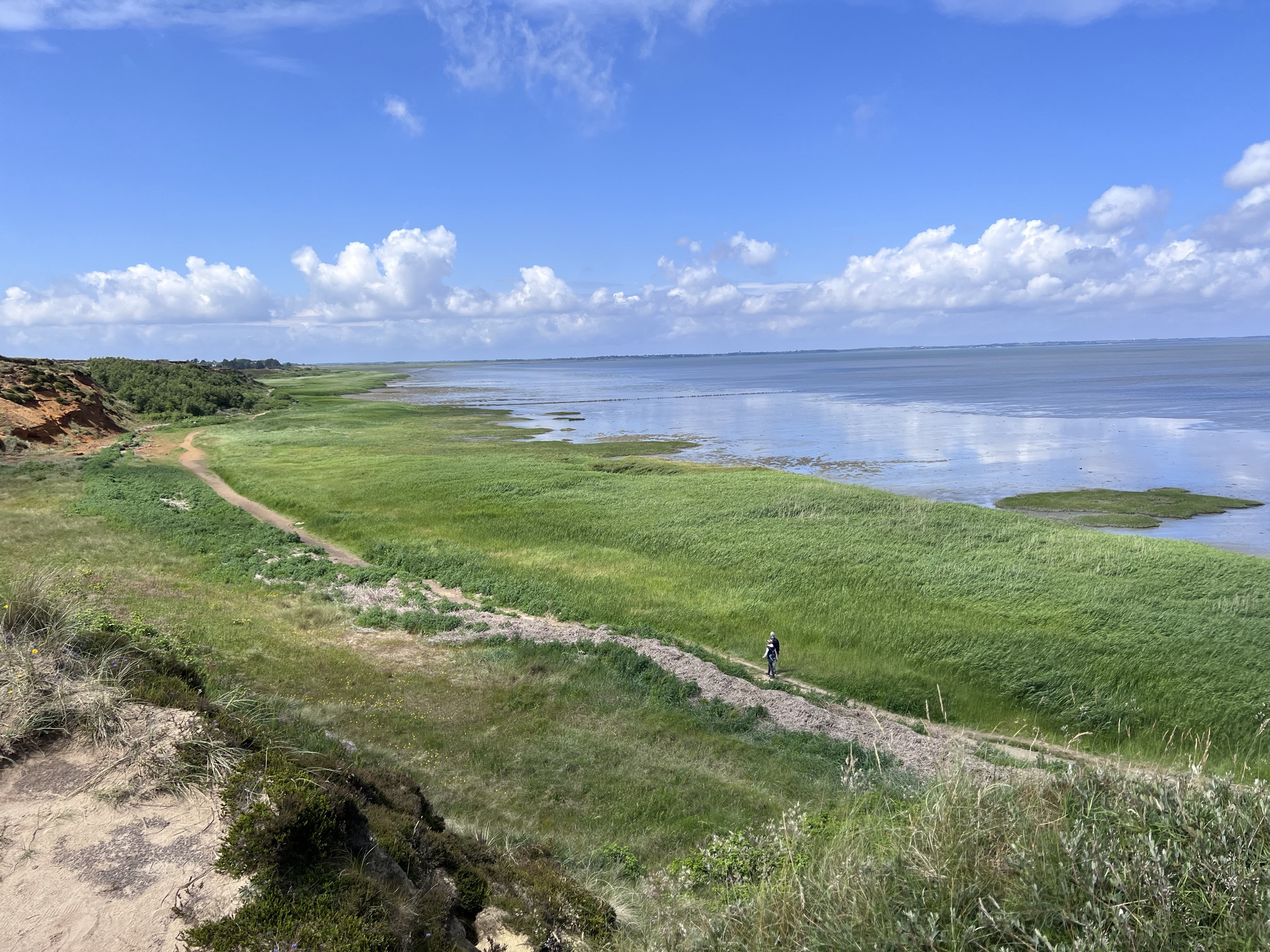Sylt Wattenmeer marsh